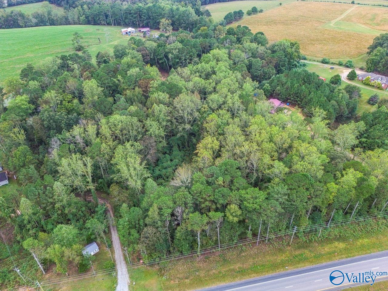 4.29 Alabama Highway 157