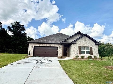Homes For Sale - 274 Saddle Street<br/> Huntsville, AL 35761