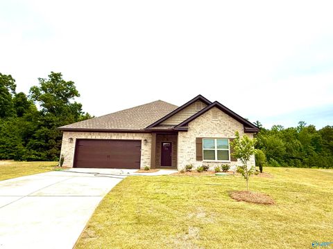Homes For Sale - 274 Saddle Street<br/> Huntsville, AL 35761
