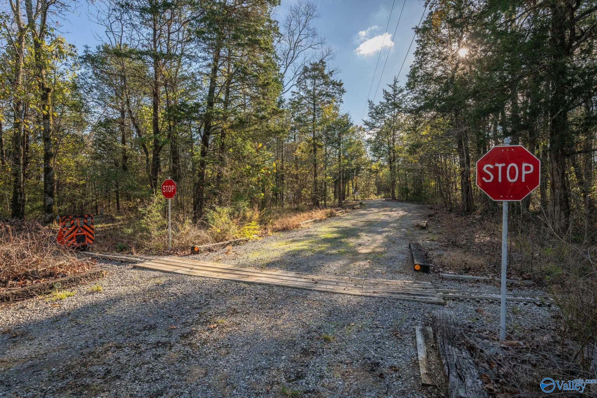 11550 County Road 8, Woodville, Alabama image 9