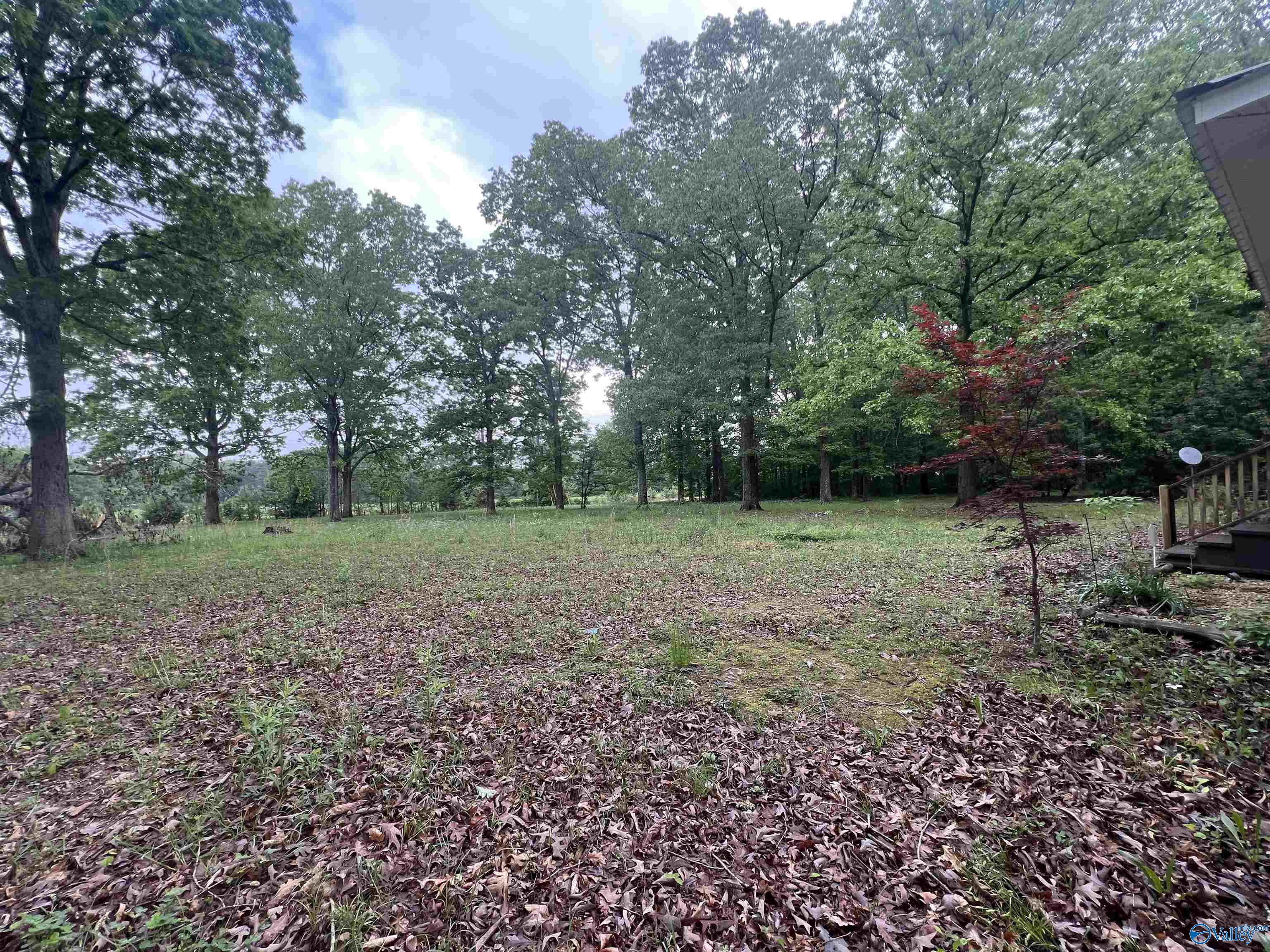 919 South Cedar Cove Road, Hartselle, Alabama image 6