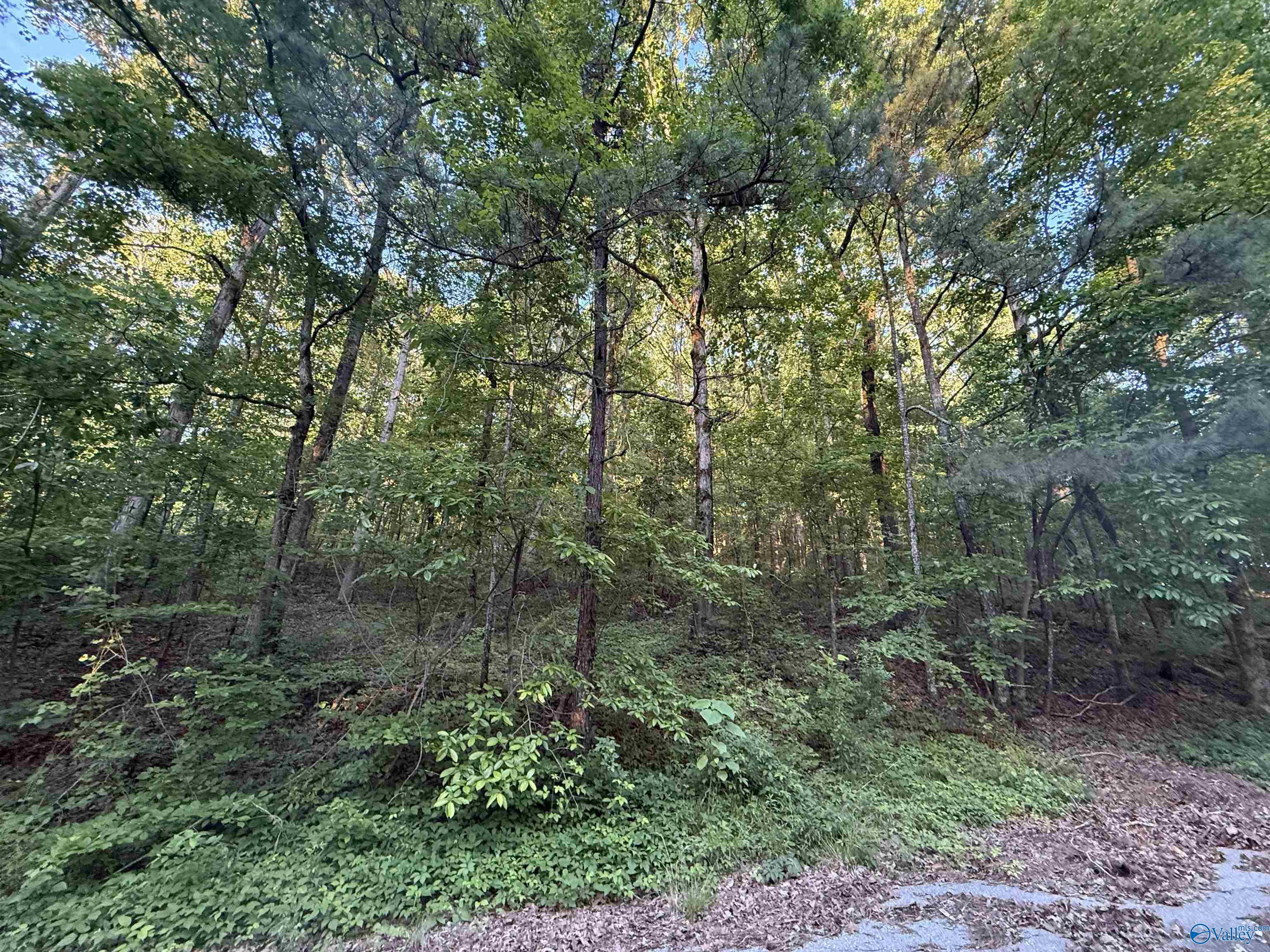 174 Greenbriar Road, Gadsden, Alabama image 2