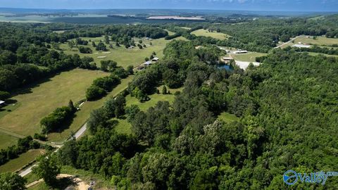 Vacant Land For Sale - 481 Rolin Hollow Road<br/> Giles County County, Ardmore, TN 38449