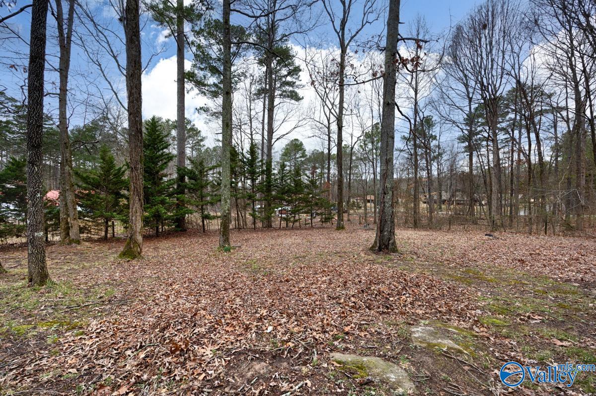 174 Heather Street, Laceys Spring, Alabama image 47