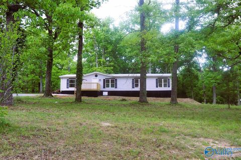 Homes For Sale - 167 Dunn Street<br/> Morgan County, Somerville, AL 35670