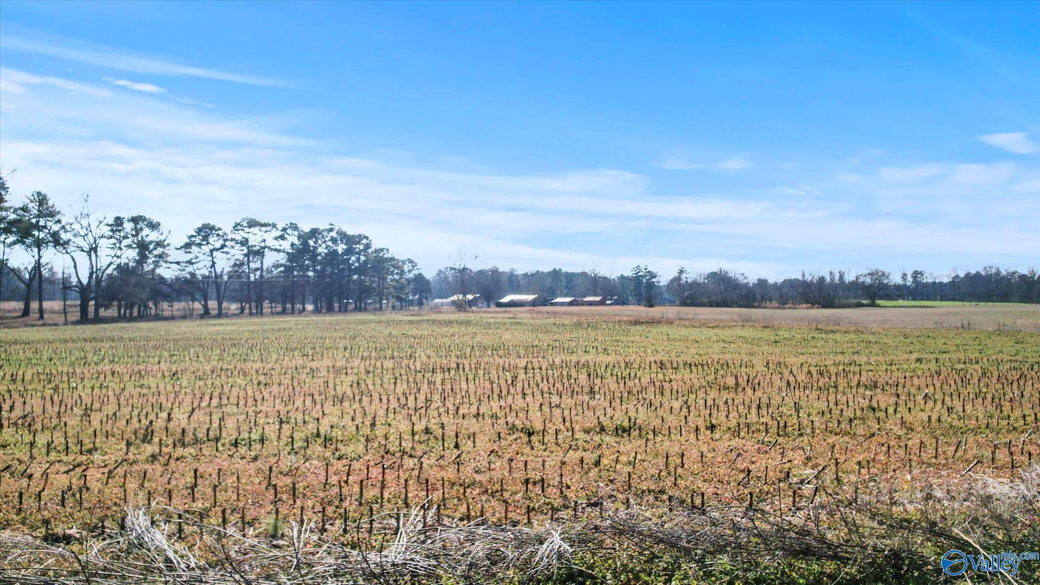 14.3 Acres Needmore Road, Albertville, Alabama image 10