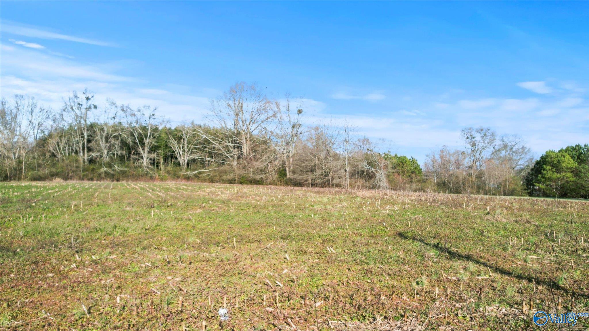 14.3 Acres Needmore Road, Albertville, Alabama image 8