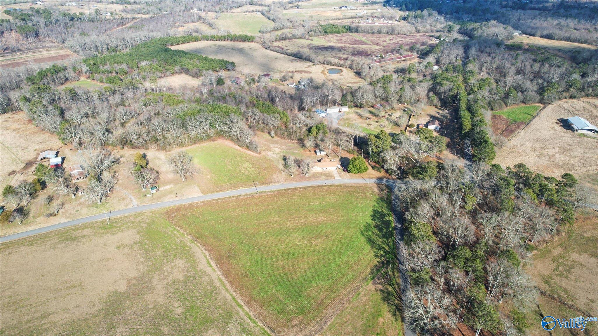 14.3 Acres Needmore Road, Albertville, Alabama image 4