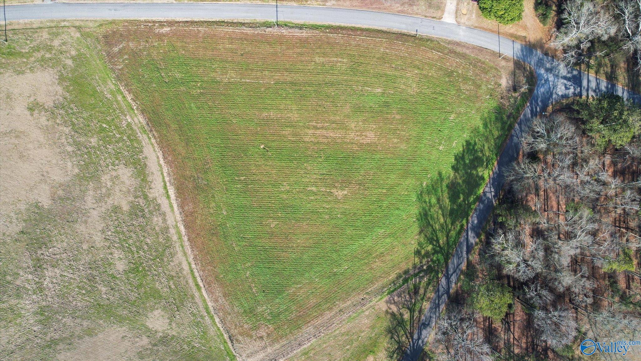 14.3 Acres Needmore Road, Albertville, Alabama image 13