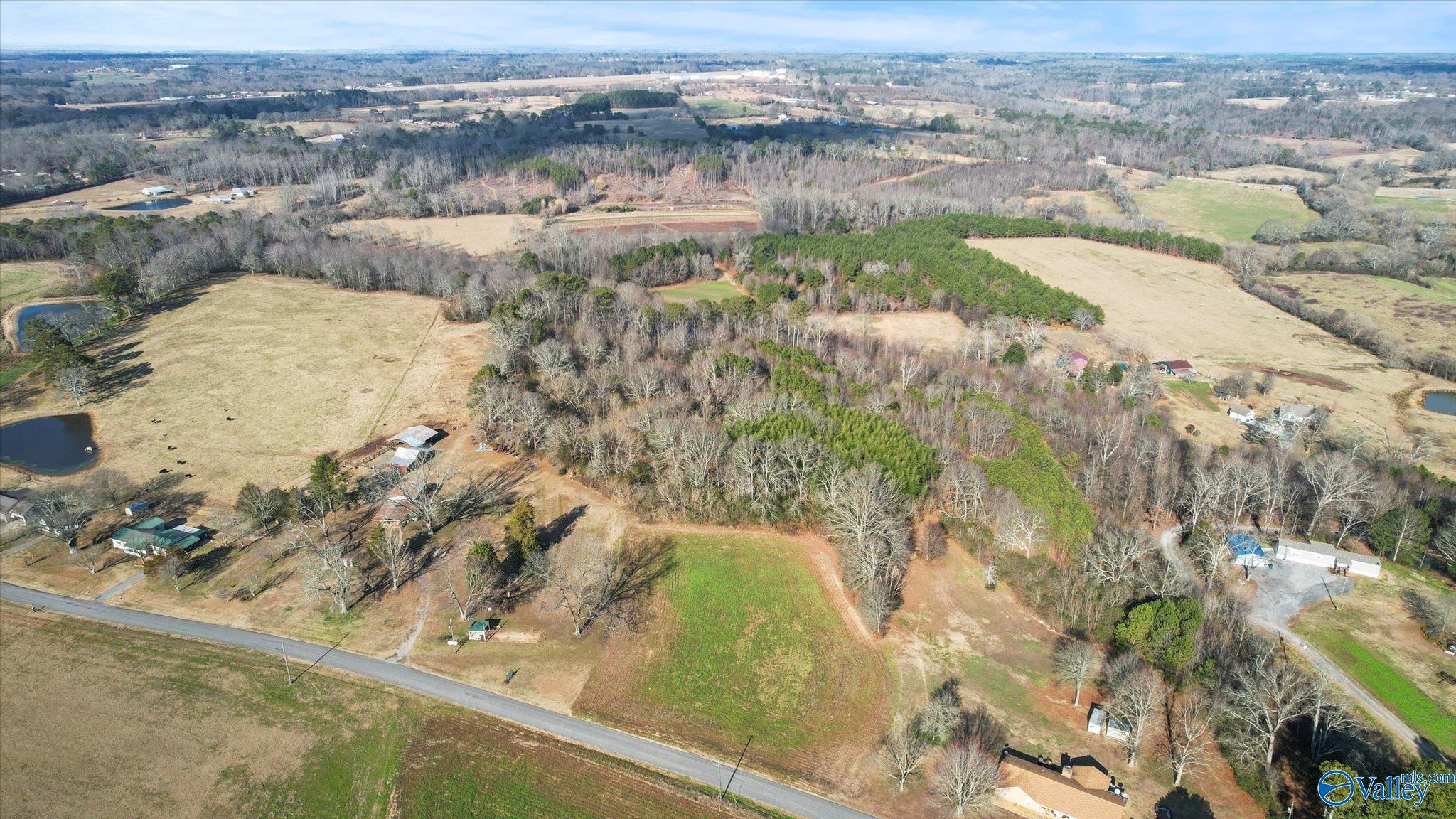 14.3 Acres Needmore Road, Albertville, Alabama image 6