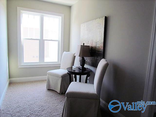 6328 Midtowne Lane, Huntsville, Alabama image 28