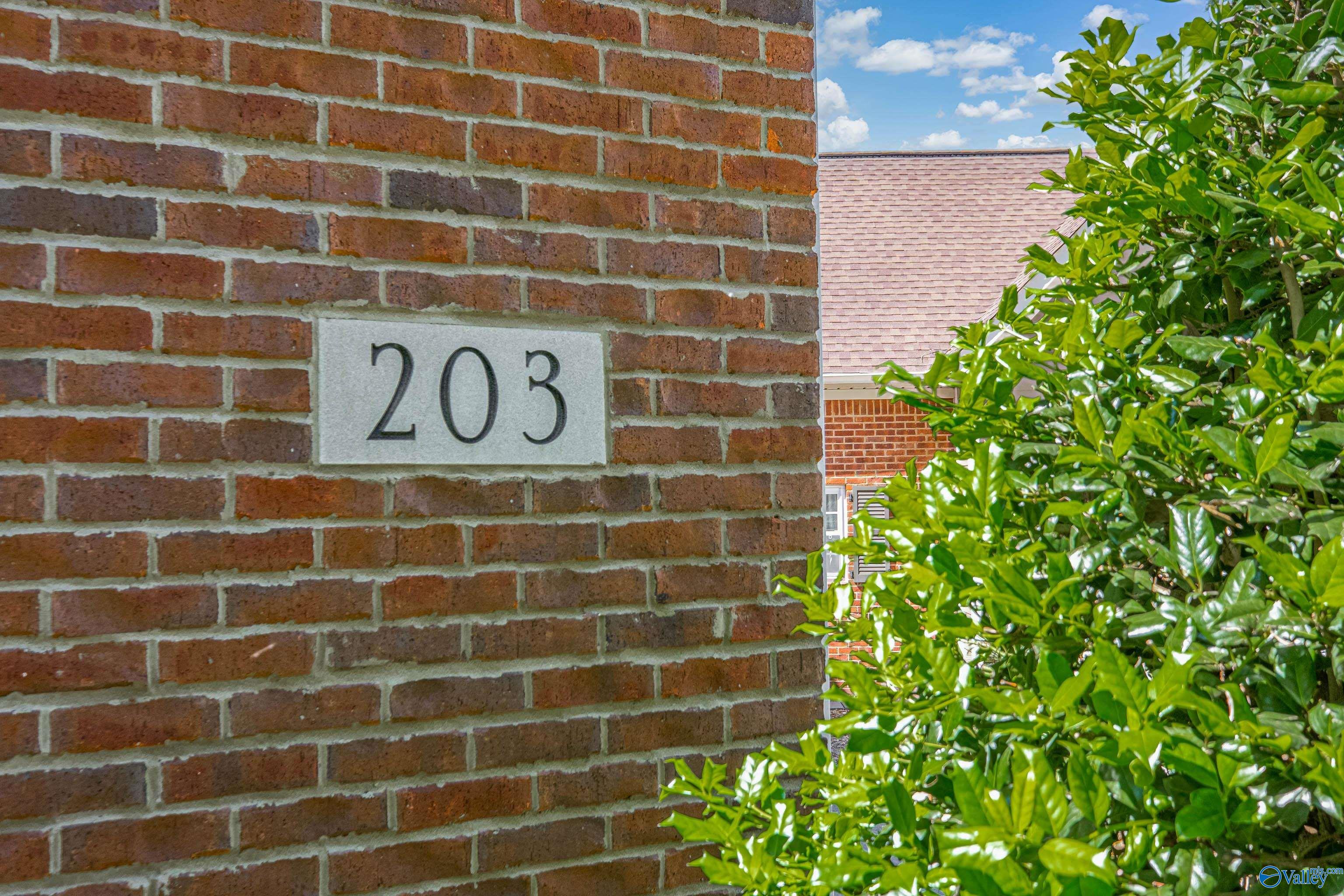 203 White Picket Trail, Meridianville, Alabama image 3