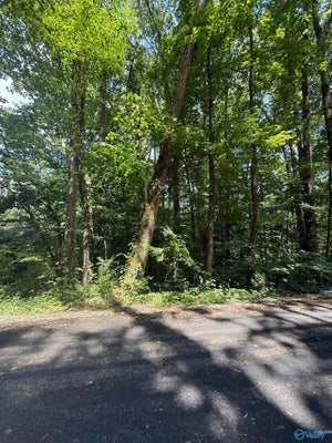 3 KRISTI LN, GRANT, AL 35747 - Image 25cc86f6ef2b7ee11df2198220f14f00/2852907173