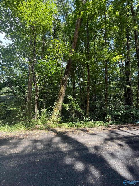 Vacant Land For Sale - LOT 3 Kristi Lane<br/> Grant, AL 35747