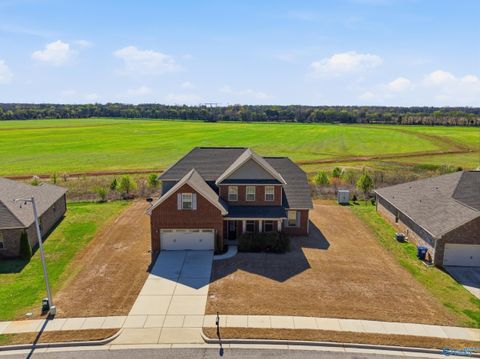 Photo of 26172 Valley Ridge Road NW, Madison, AL 35756 (MLS # 21912411)
