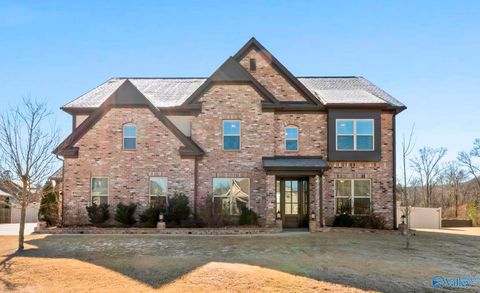 4502 Long Cove Court Owens Cross Roads AL 35763