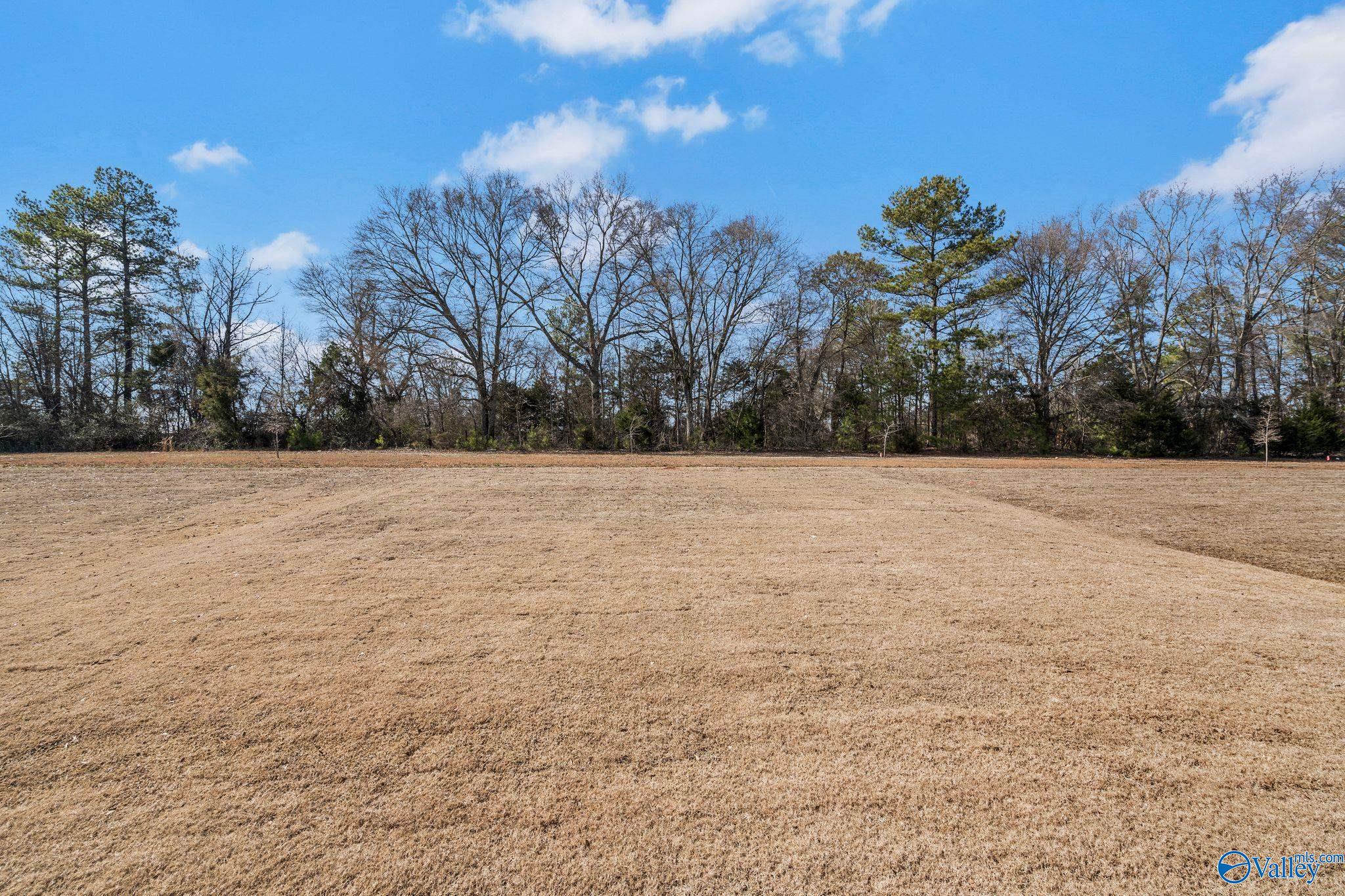 15500 Lapwing Cove, Athens, Alabama image 35