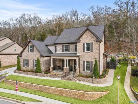 Photo of 7063 Pale Dawn Place, Owens Cross Roads, AL 35763 (MLS # 21905173)