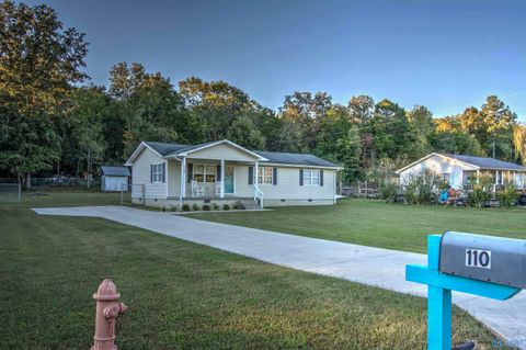 Photo of 110 Willis Shavers Street, Hollywood, AL 35752 (MLS # 21902140)