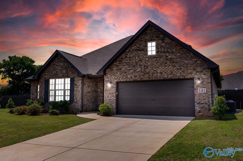 Photo of 141 Slade Thomas Drive, Meridianville, AL 35759 (MLS # 21909731)
