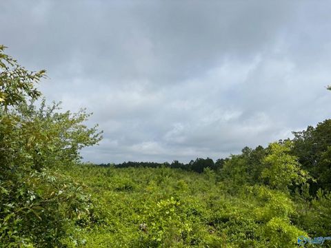 Vacant Land For Sale - TRACT 4 Tom Cat Road<br/> Etowah County, Gadsden, AL 35903