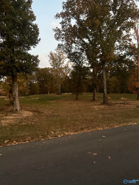 Vacant Land For Sale - 102 River Road<br/> Etowah County, Altoona, AL 35952