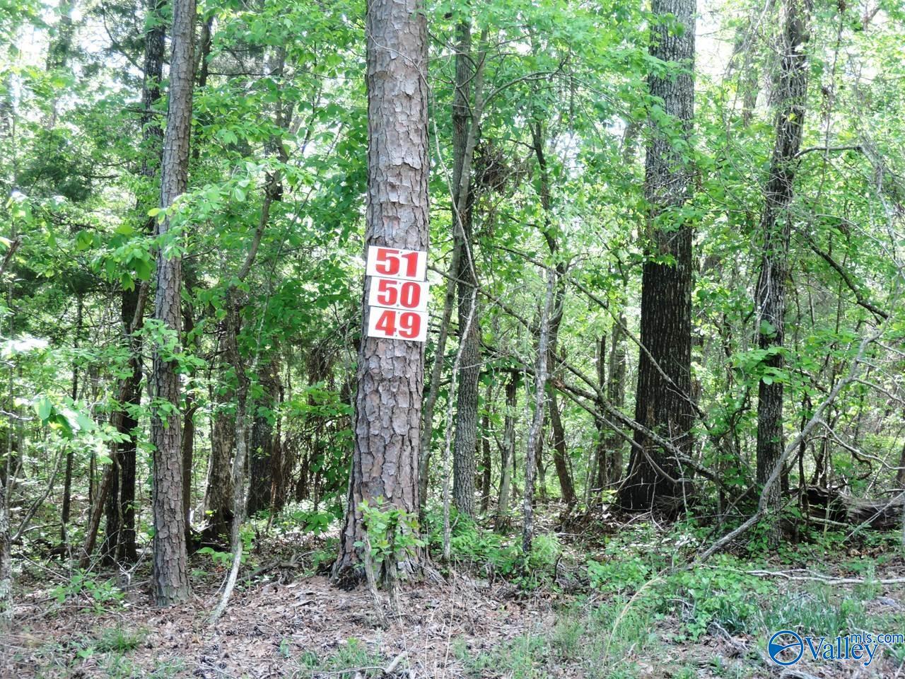 Lot 49 Harbor Loop, Jasper, Alabama image 1