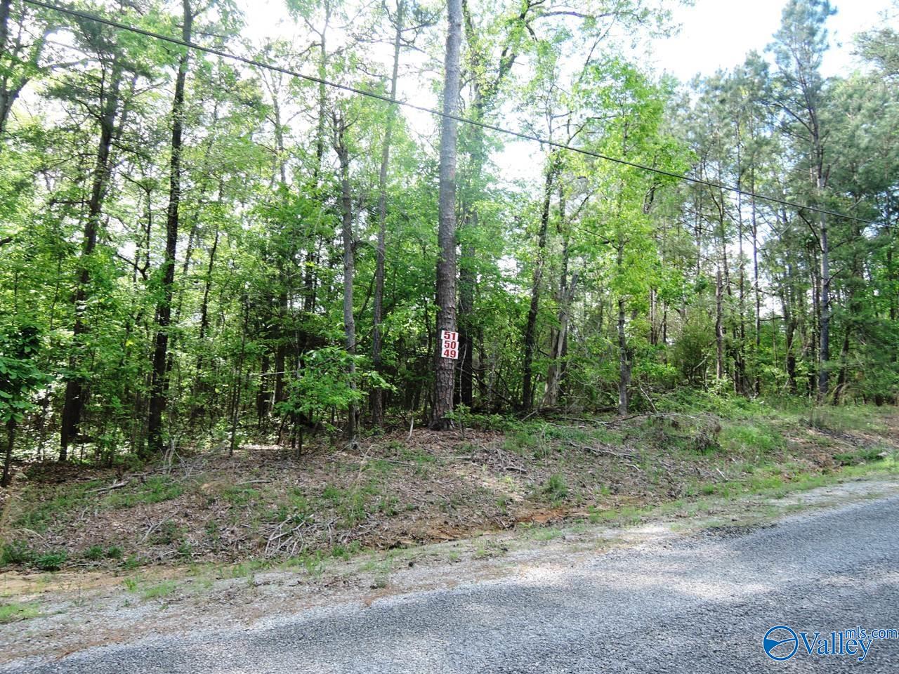 Lot 49 Harbor Loop, Jasper, Alabama image 2