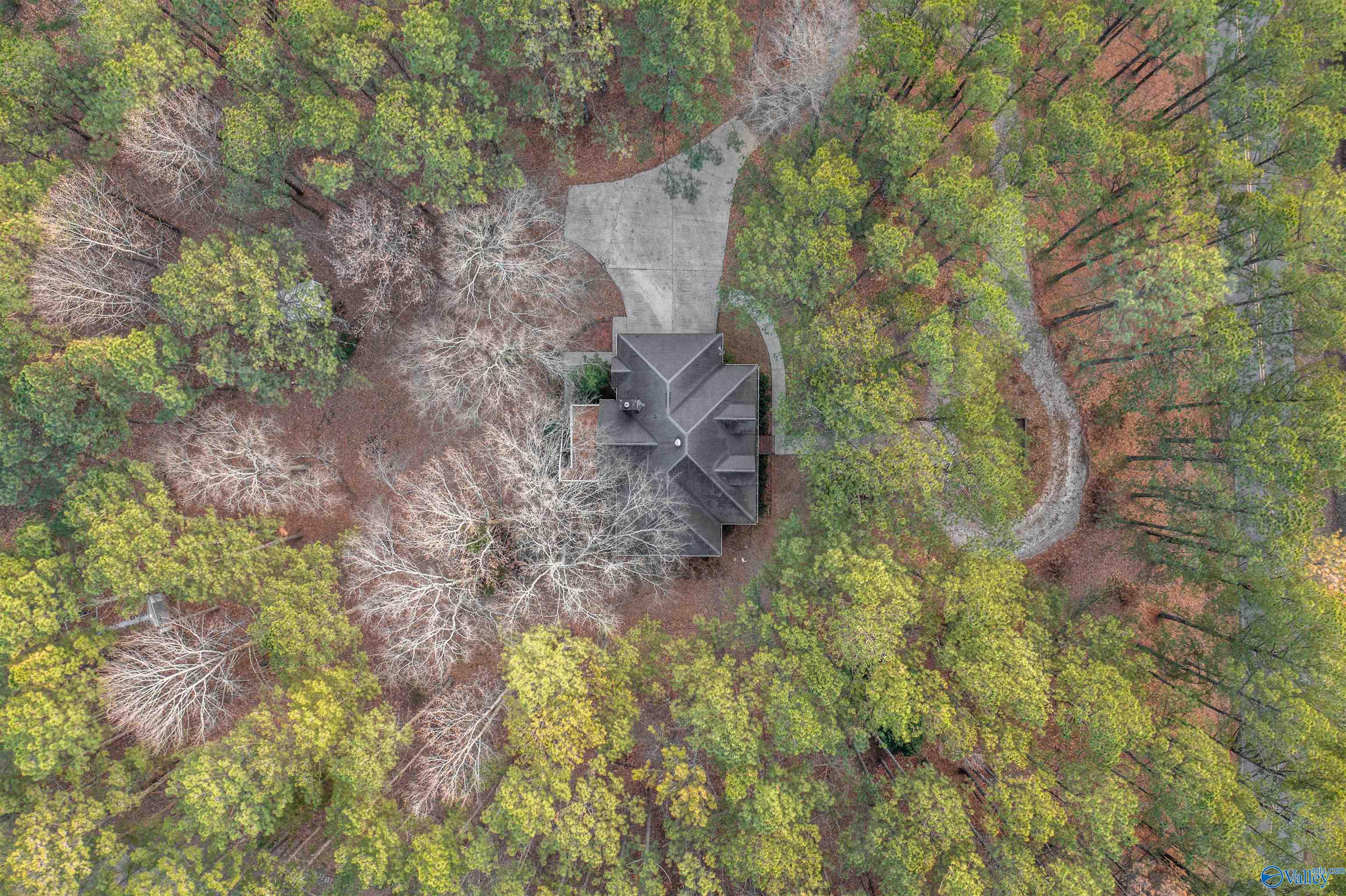 1170 Tunnel Mountain Road, Pell City, Alabama image 10
