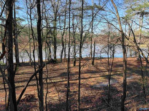 Vacant Land For Sale - 1 County Road 92<br/> Cherokee County, Cedar Bluff, AL 35959