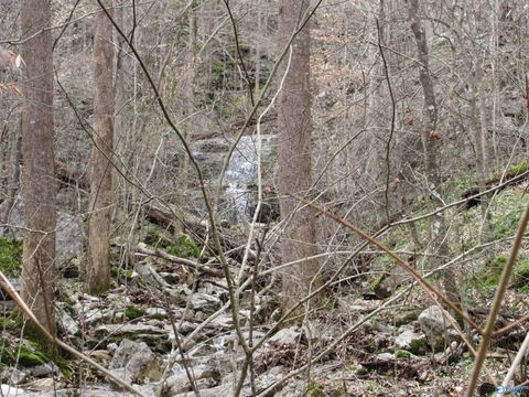 Vacant Land For Sale - 1958 County Road 32<br/> Jackson County, Fackler, AL 35752
