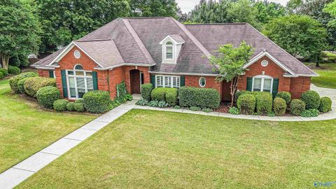 Photo of 2734 Deford Mill Road SE, Owens Cross Roads, AL 35763 (MLS # 21916744)