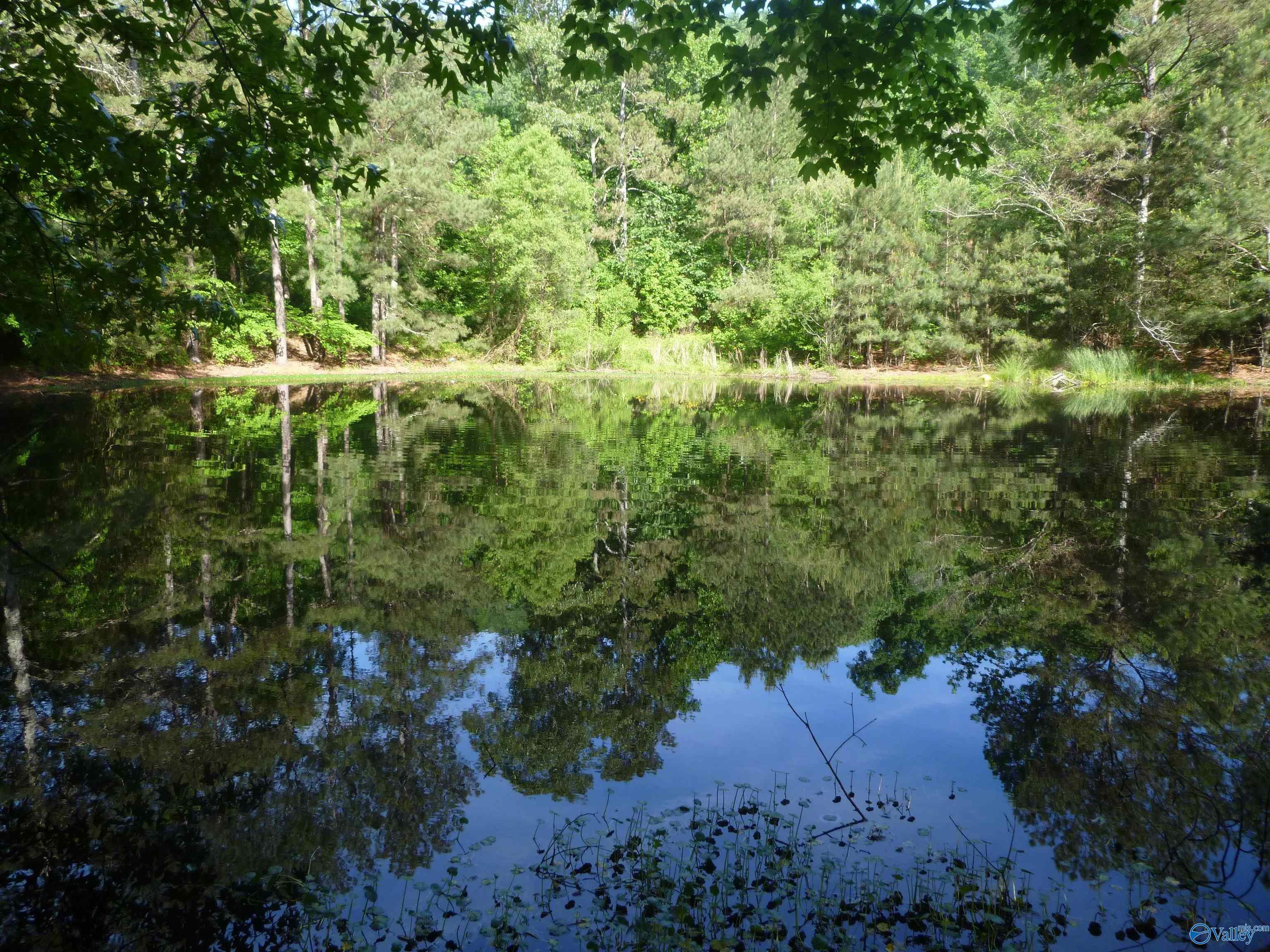 2308 County Road 458, Fort Payne, Alabama image 20