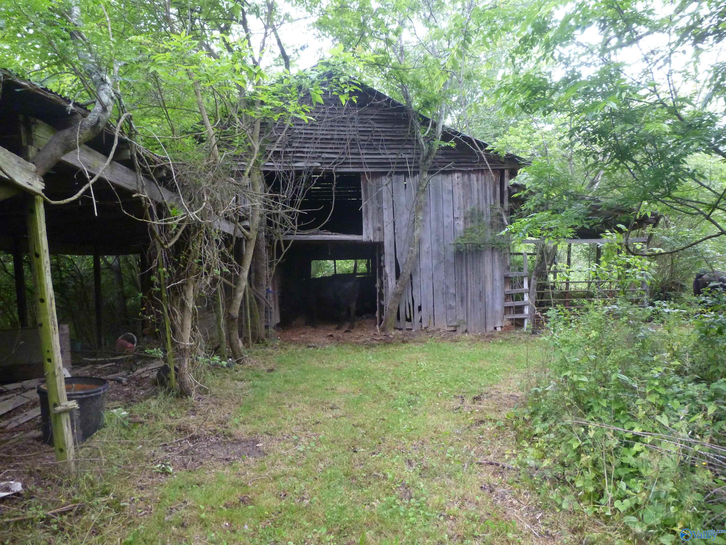 2308 County Road 458, Fort Payne, Alabama image 12
