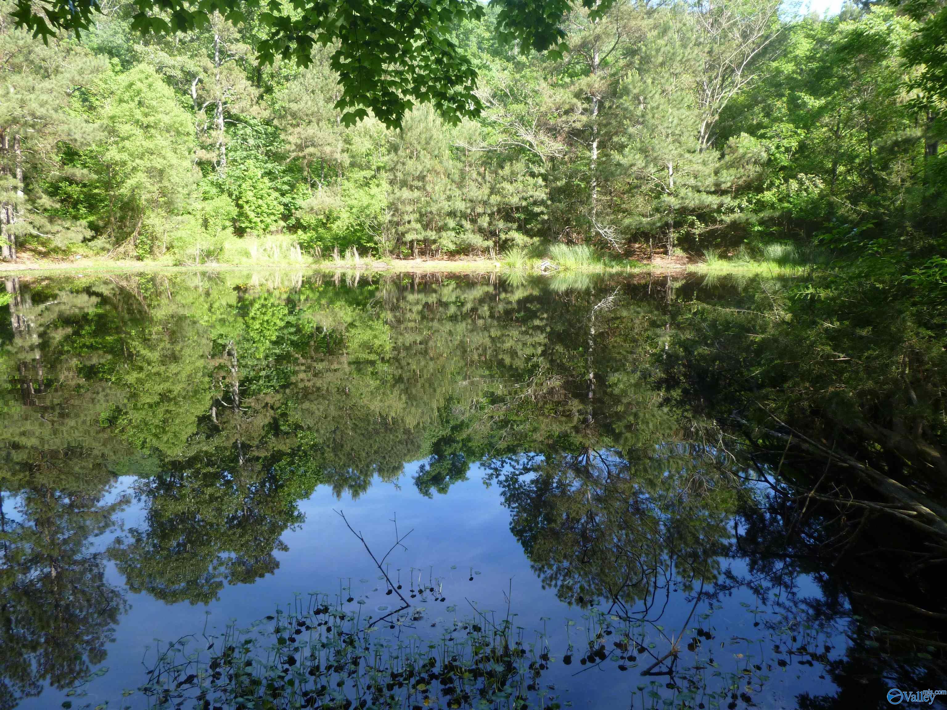 2308 County Road 458, Fort Payne, Alabama image 5