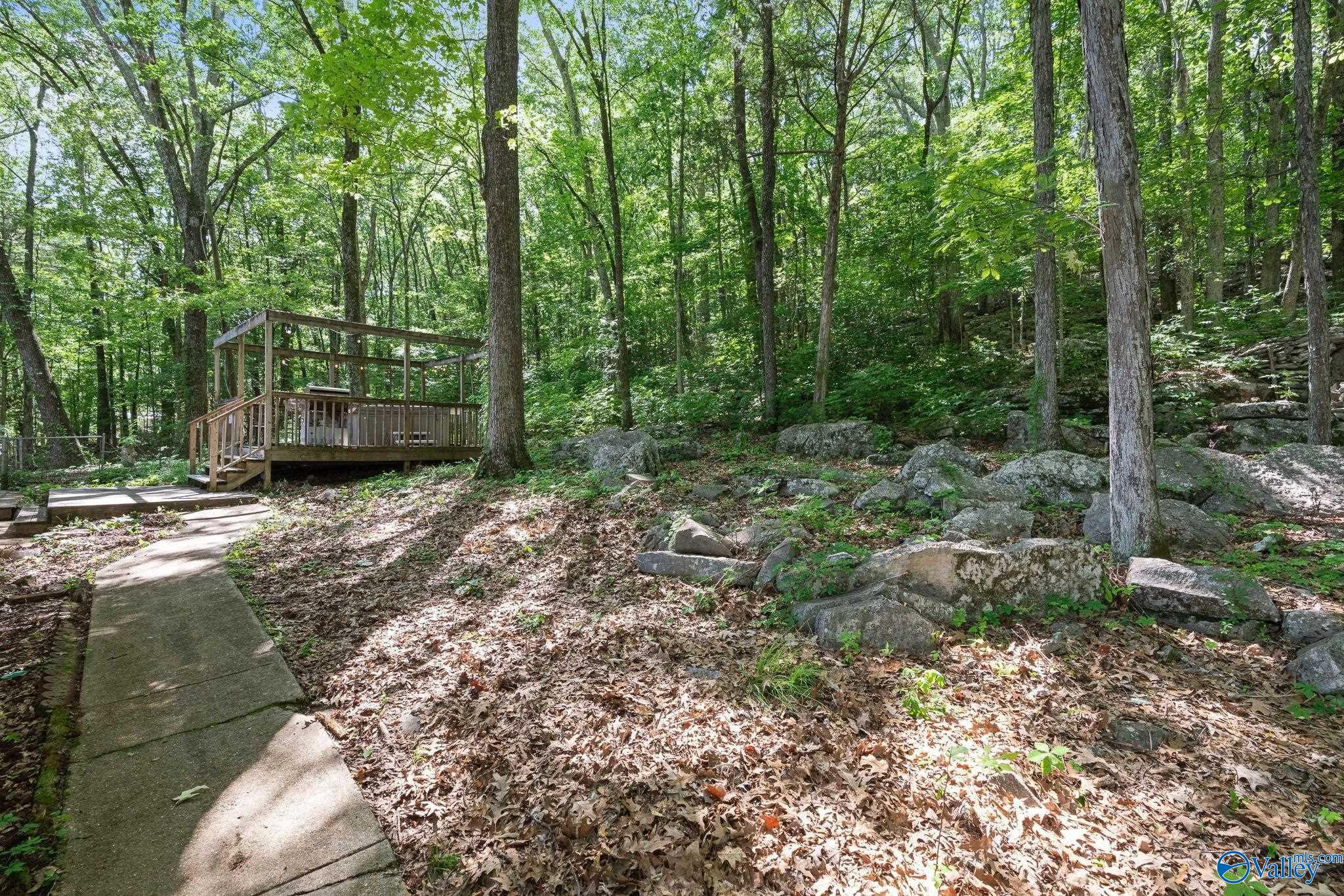 228 George Byrd Drive, Owens Cross Roads, Alabama image 24