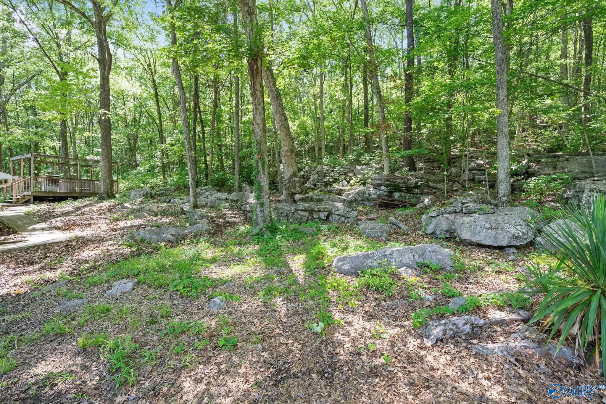 228 George Byrd Drive, Owens Cross Roads, Alabama image 23