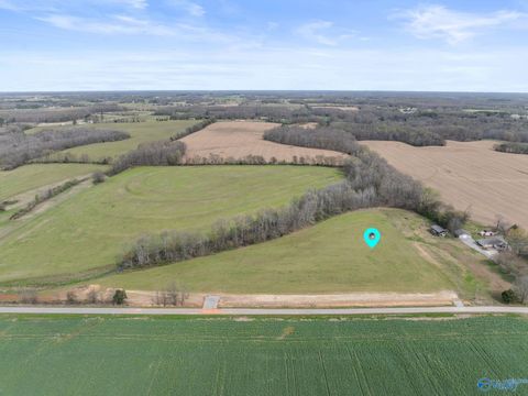 25568 W County Line Road Anderson AL 35610