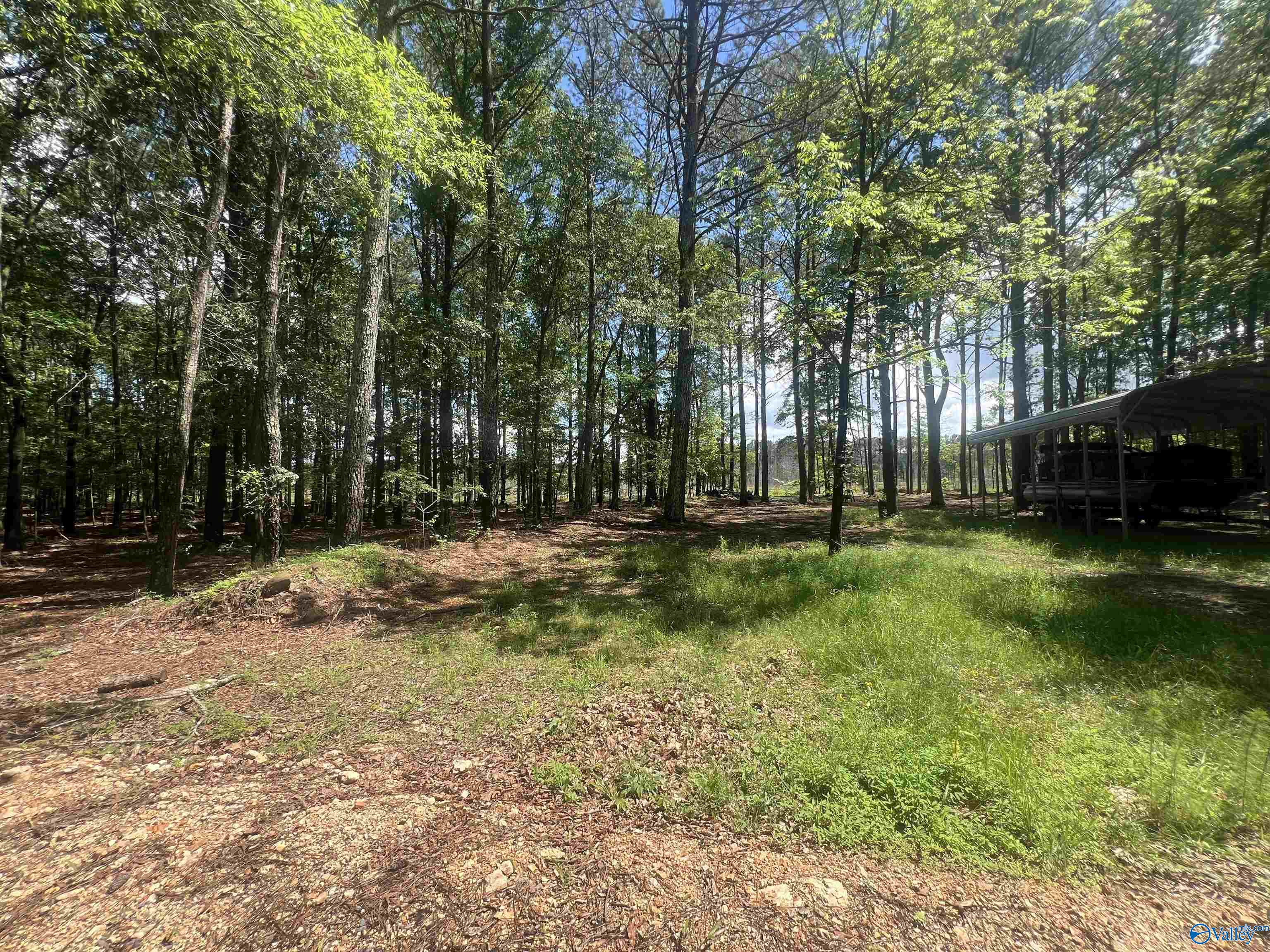 1258 County Road 136, Cedar Bluff, Alabama image 11
