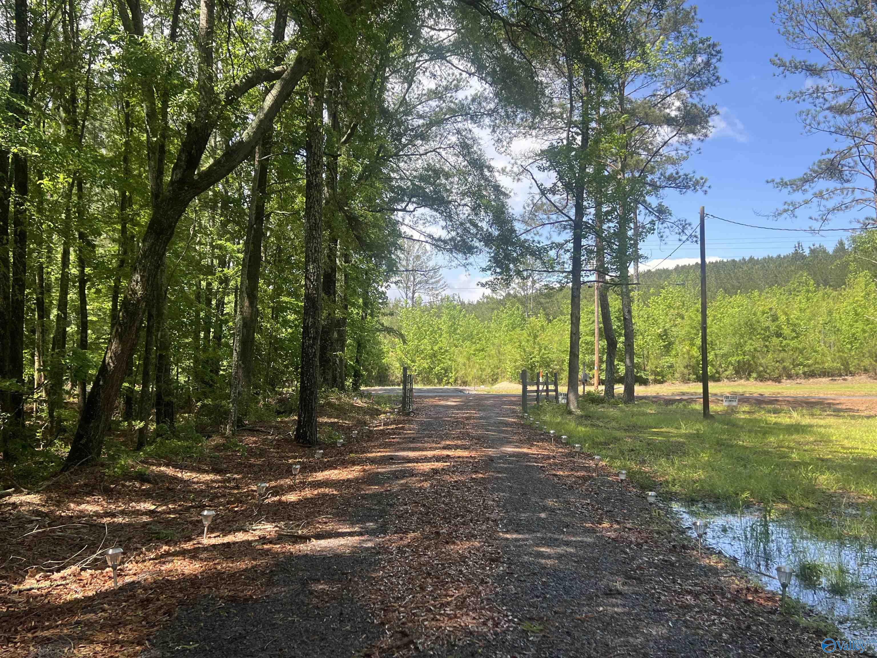 1258 County Road 136, Cedar Bluff, Alabama image 13