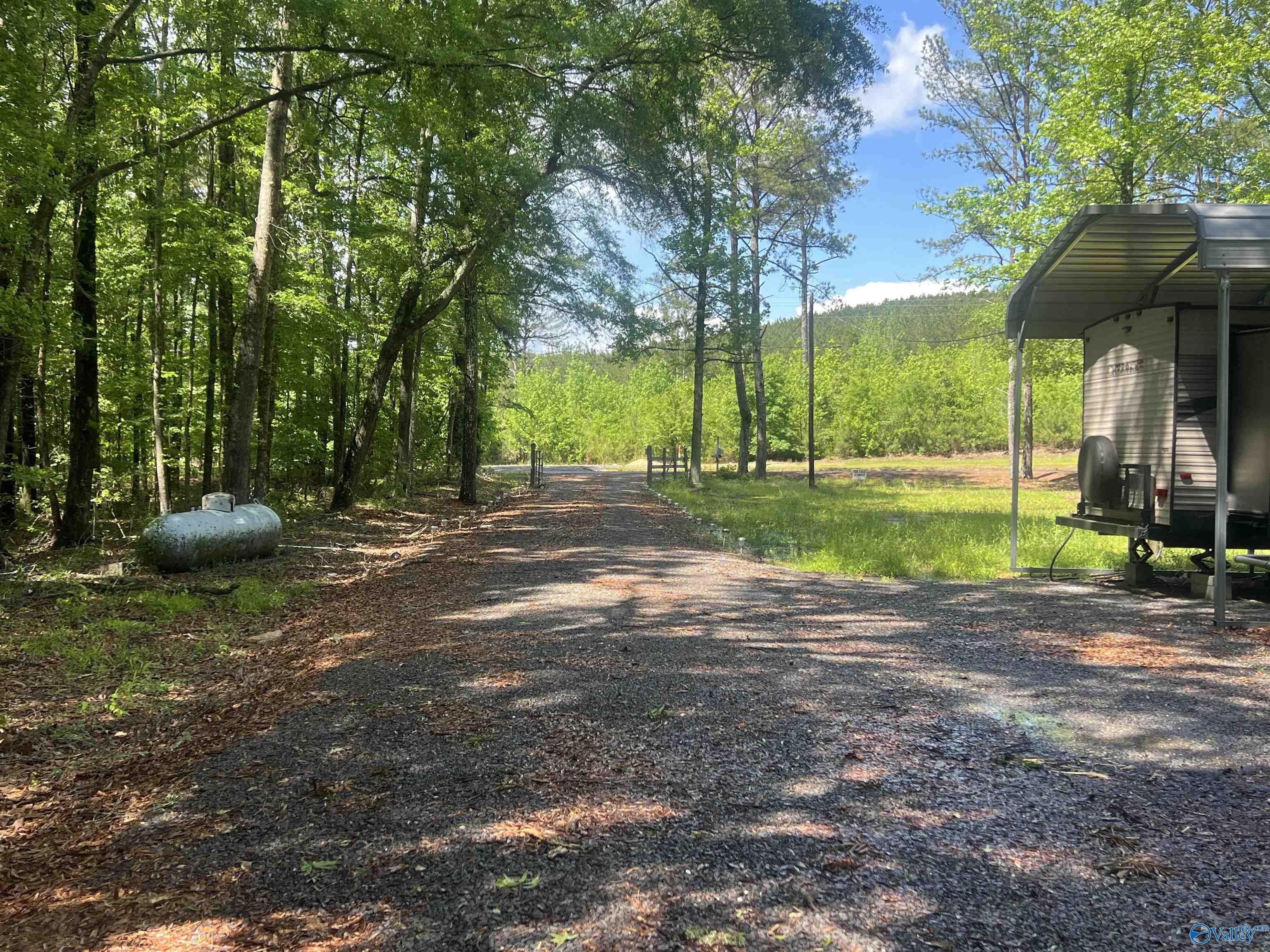 1258 County Road 136, Cedar Bluff, Alabama image 8