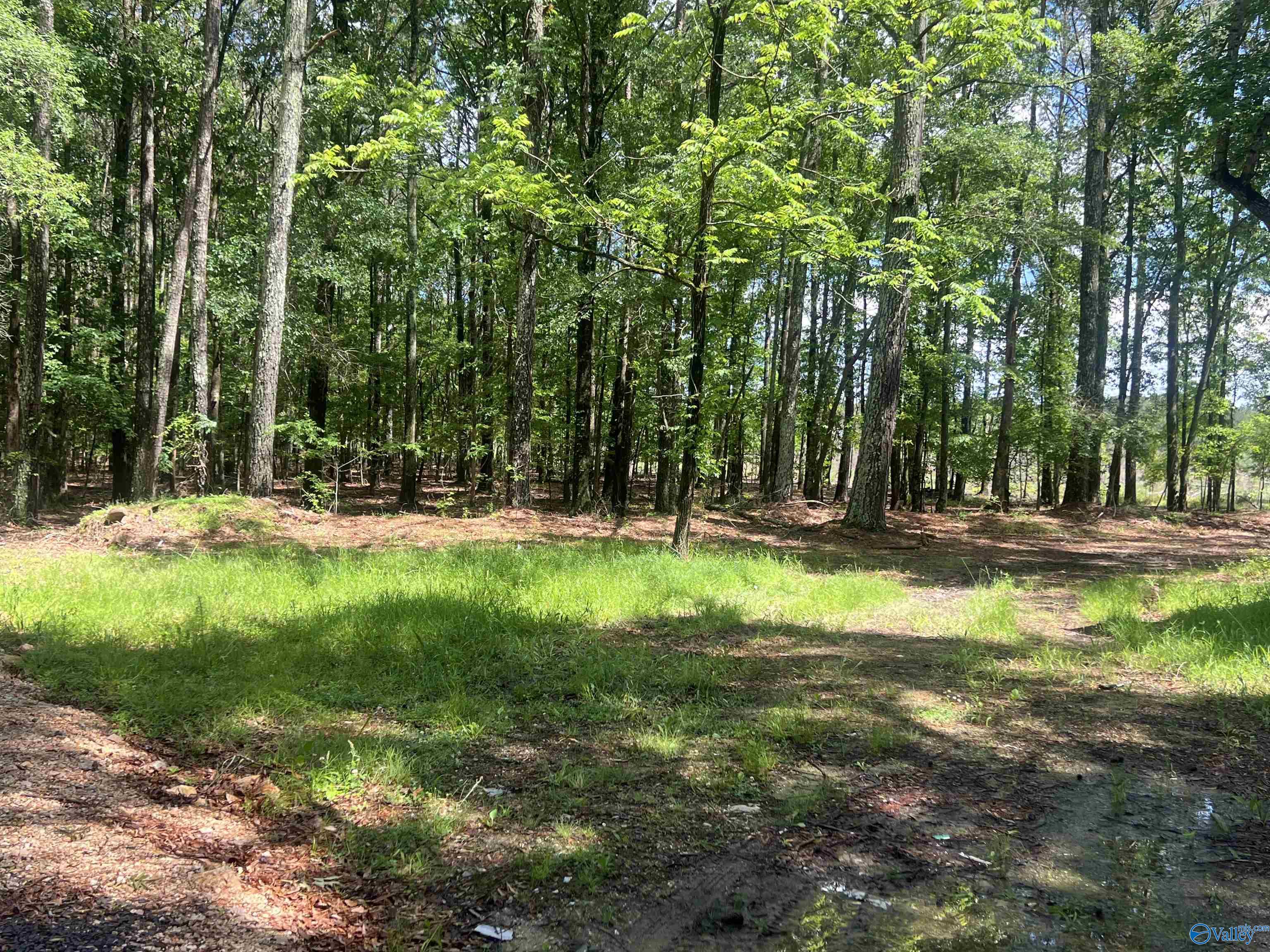 1258 County Road 136, Cedar Bluff, Alabama image 12