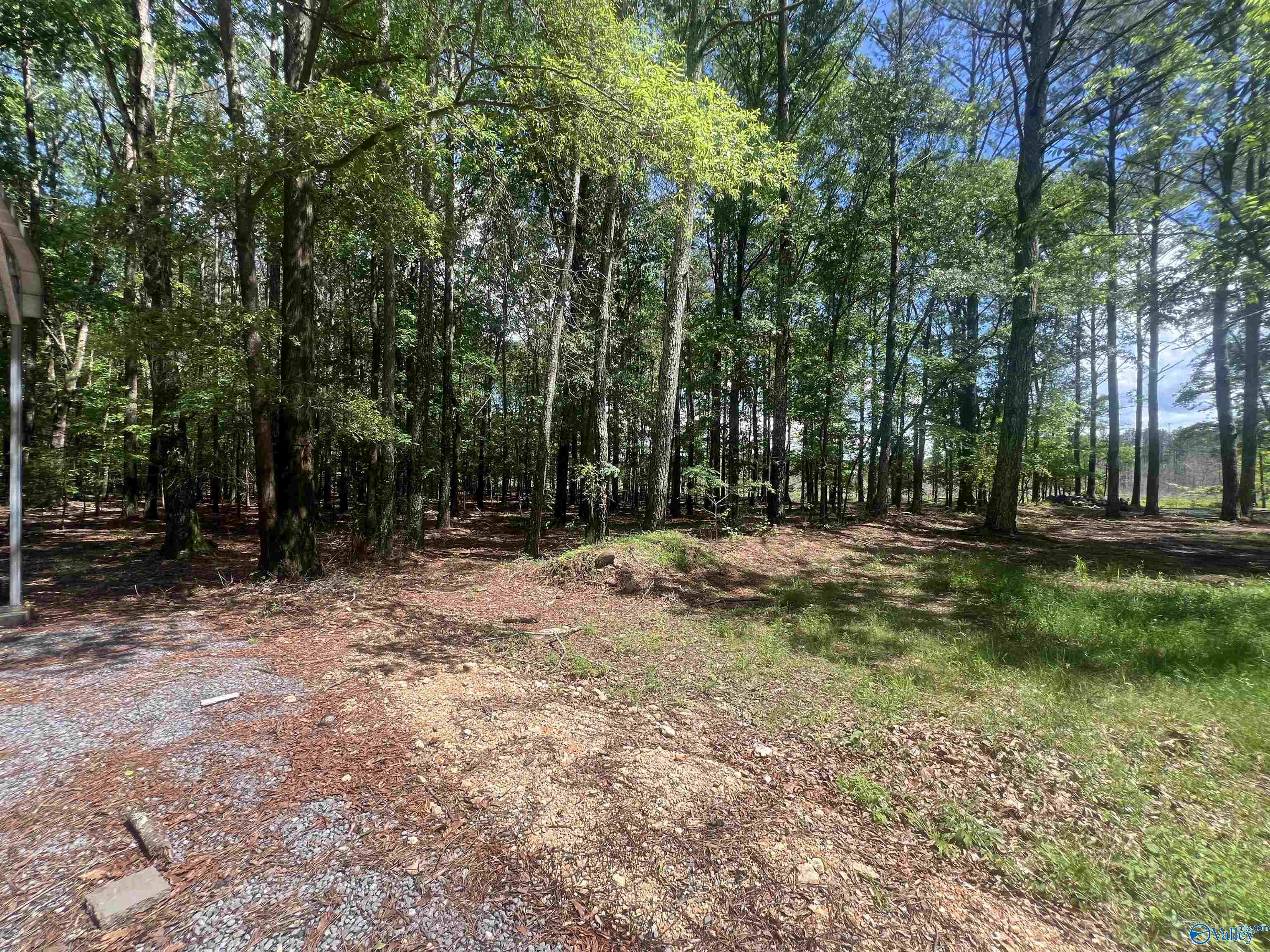 1258 County Road 136, Cedar Bluff, Alabama image 10