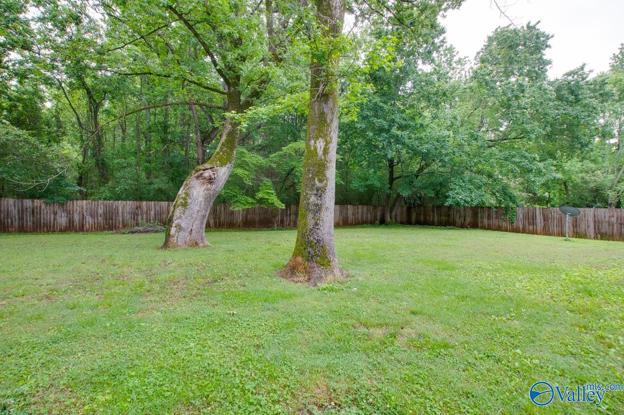 207 Stormy Drive, New Market, Alabama image 41