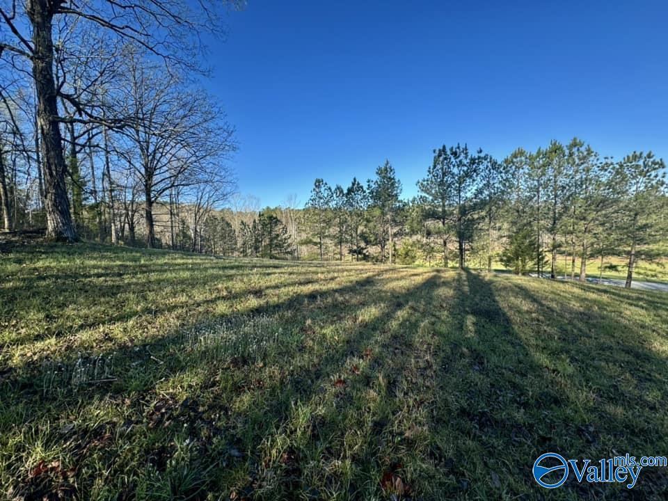 741 Poplar Springs Trail, Ashville, Alabama image 4