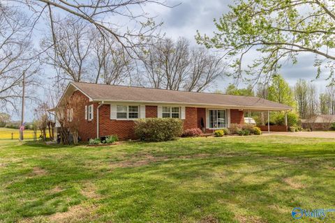 Photo of 10968 Hwy 207, Anderson, AL 35610 (MLS # 21913896)