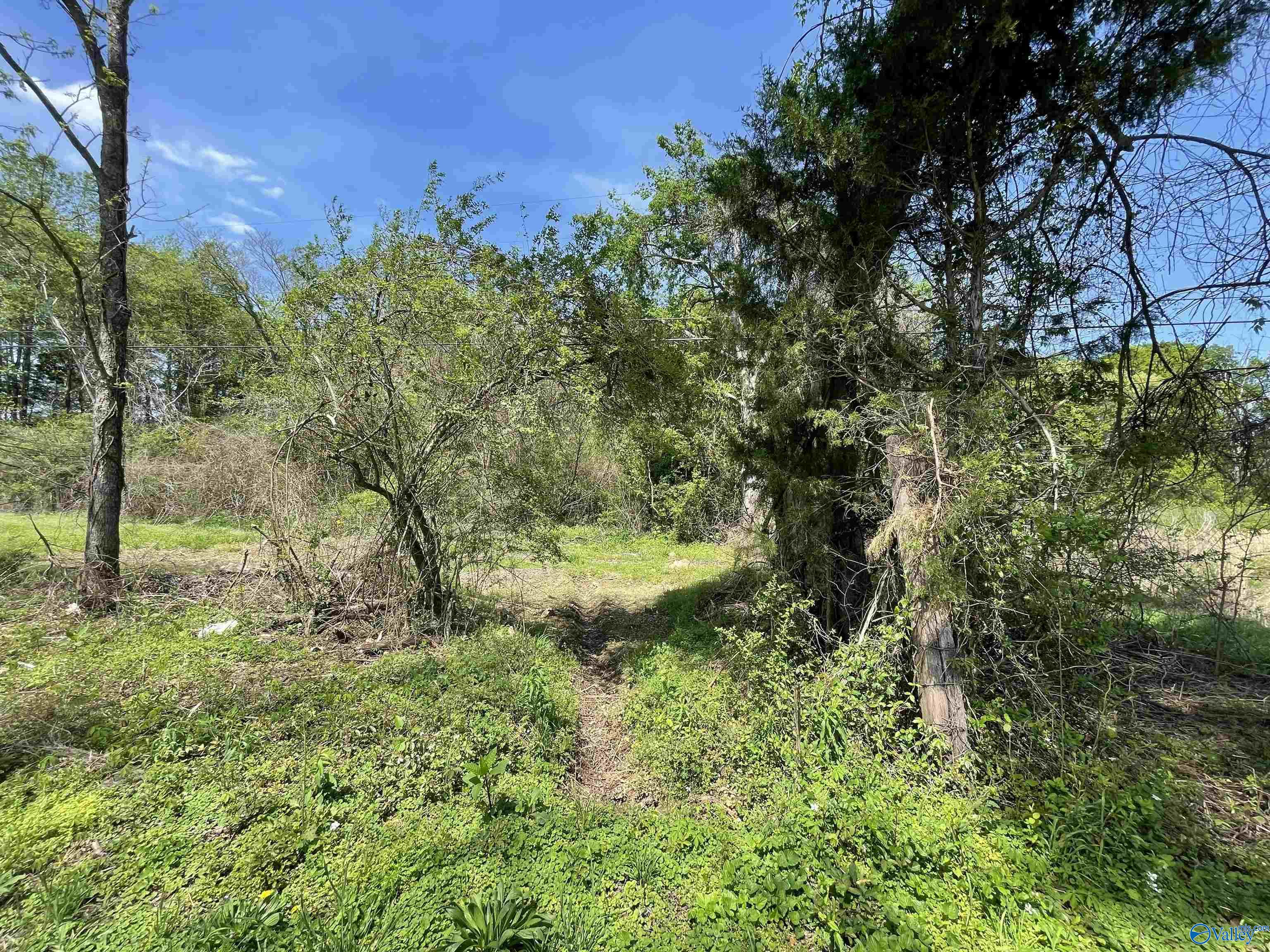 4 Acres Laurel Street, Decatur, Alabama image 8