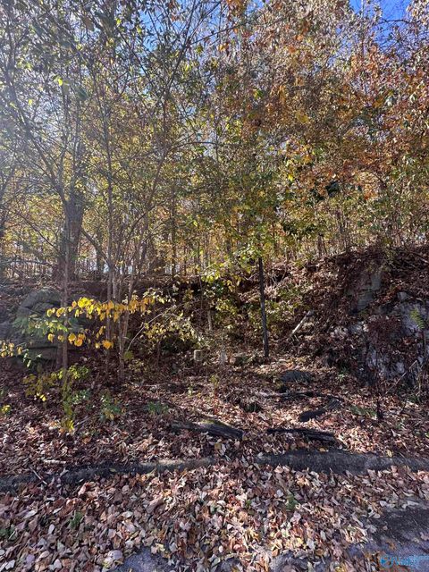Vacant Land For Sale - 4622 Legacy Preserve Way<br/> Brownsboro, AL 35741