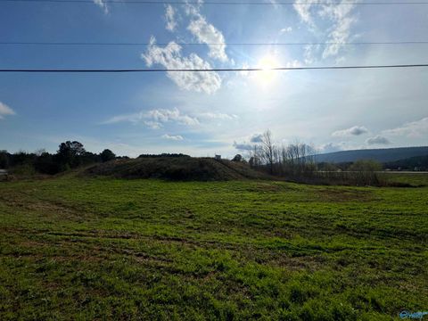 Vacant Land For Sale - 5.88 ACRES Us Hwy 411<br/> Cherokee County, Leesburg, AL 35983