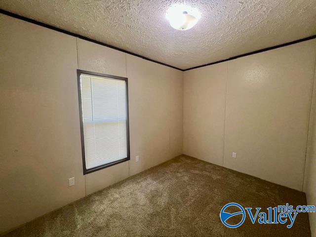 4123 County Road 1570, Baileyton, Alabama image 16